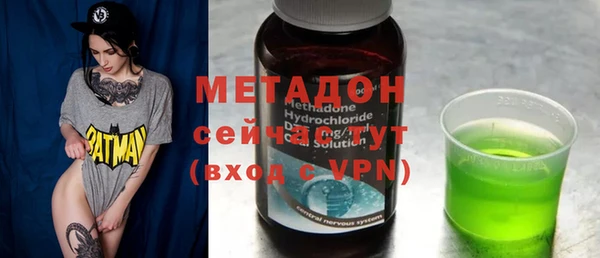 стаф Алзамай