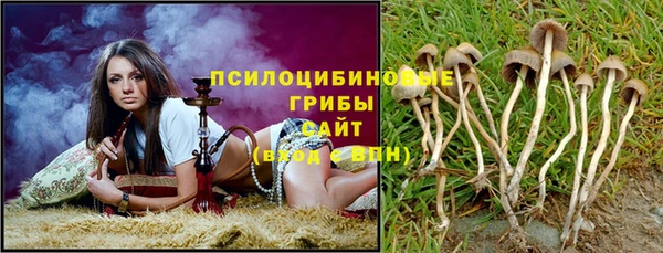 кокс Гусев