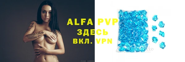 apvp Алексин