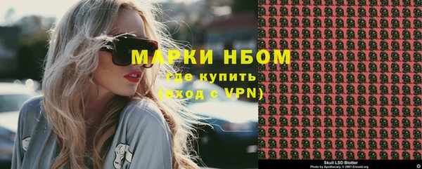стаф Алзамай