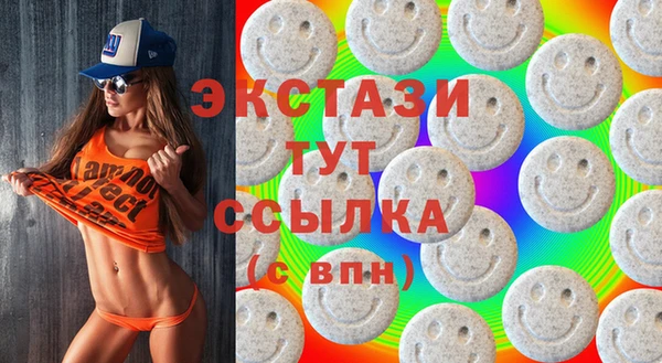 индика Гусь-Хрустальный